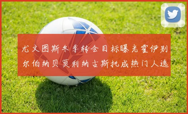 尤文图斯冬季转会目标曝光霍伊别尔伯纳贝莫利纳古斯托成热门人选