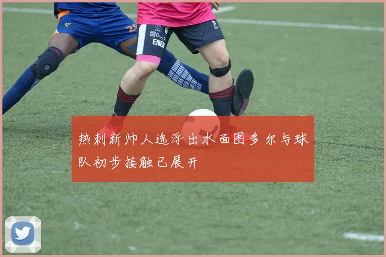 热刺新帅人选浮出水面图多尔与球队初步接触已展开