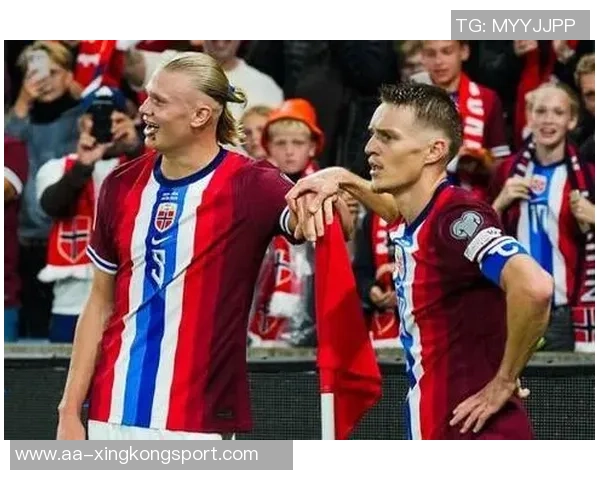 本届世欧预赛机会创造榜揭晓厄德高德佩多库托纳利领衔前五